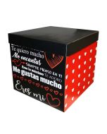 Caja Regalo Plegable Cra08 14 De Febrero 30 X 30 Cm