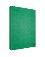 Cuaderno Ejecutivo Mediano Norma Daily Notes 580641 Raya 100 h. 18 x 24 cm