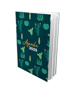 Agenda Juvenil VR Cactus 15 x 21 cm, Semanal