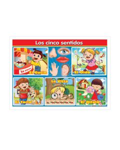 Poster Granmark 1374-1 70 X 50 Cm Los 5 Sentidos Generico