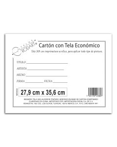 Cartón con Tela Económico Rodart 27.9 x 35.6 cm